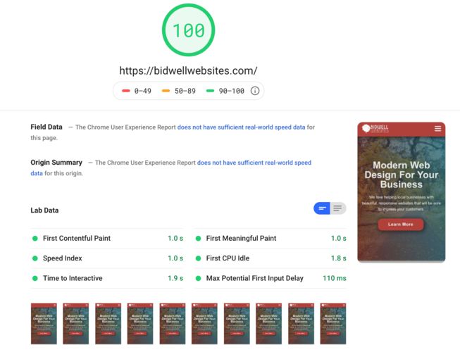 perfect pagespeed score on pagespeed insights