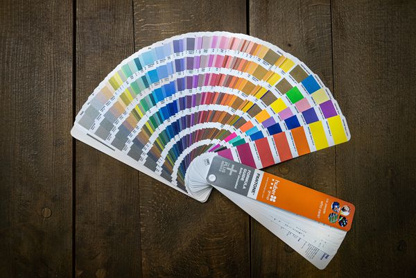 selection of colors for paint